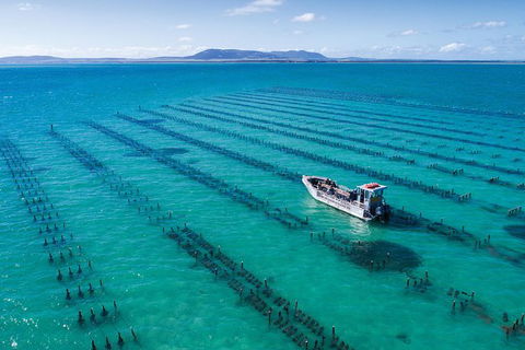 Experience Coffin Bay Oyster Farm And Bay Tour - Accommodation ACT 1