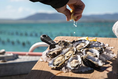 Experience Coffin Bay Oyster Farm And Bay Tour - Accommodation ACT 9