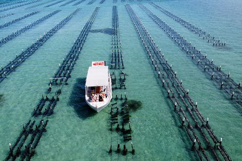 Experience Coffin Bay Oyster Farm And Bay Tour - Accommodation ACT 8