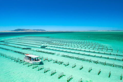 Experience Coffin Bay Oyster Farm And Bay Tour - Accommodation ACT 7
