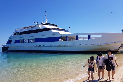 Moreton Island Day Trip (Kayak, Snorkel & Sandboard) Frm Brisbane Or Gold Coast - Accommodation ACT 10