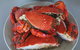 Crab Trip From Gold Coast - thumb 28