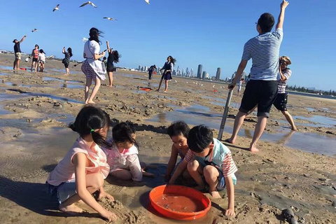 Crab Trip From Gold Coast - Accommodation ACT 32
