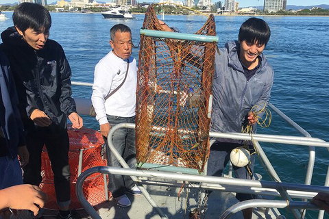 Crab Trip From Gold Coast - Accommodation ACT 35