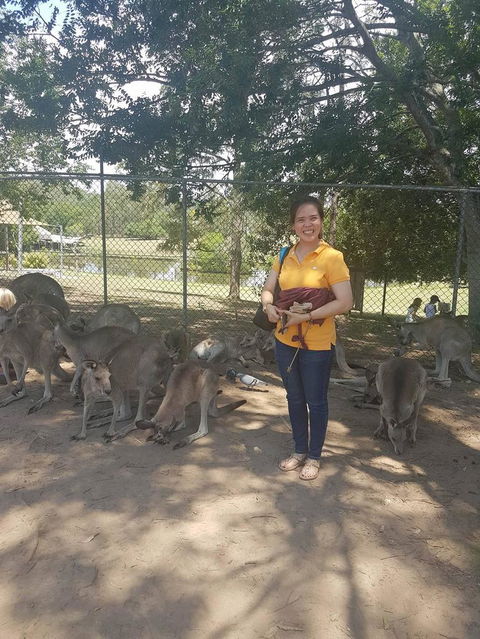 Lone Pine Koala Sanctuary Admission With Brisbane River Cruise - Accommodation ACT 17