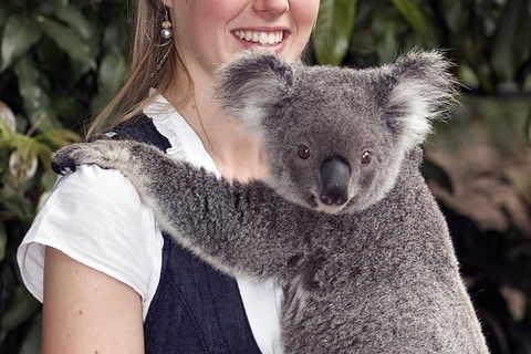 Lone Pine Koala Sanctuary Admission With Brisbane River Cruise - Accommodation ACT 1