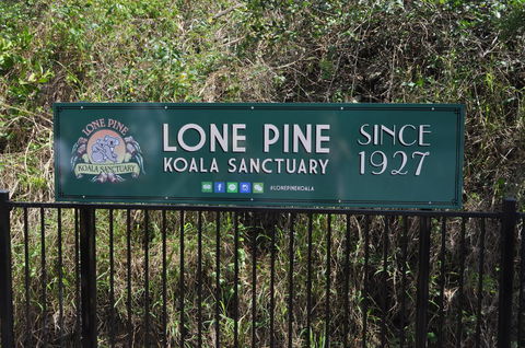 Lone Pine Koala Sanctuary Admission With Brisbane River Cruise - Accommodation ACT 7