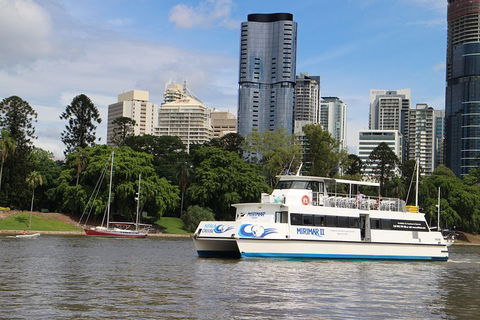 Lone Pine Koala Sanctuary Admission With Brisbane River Cruise - Accommodation ACT 32