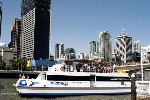 Lone Pine Koala Sanctuary Admission With Brisbane River Cruise - Accommodation ACT 31