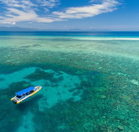 Ocean Safari Great Barrier Reef Experience in Cape Tribulation - Accommodation ACT