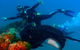 Scuba Dive The S.S. Yongala Wreck On The Great Barrier Reef. - thumb 1