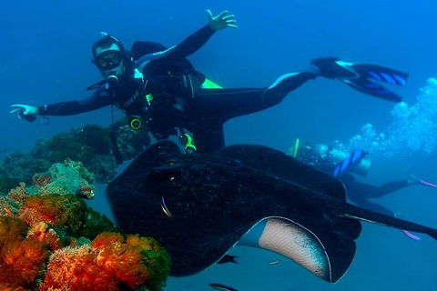 Scuba Dive The S.S. Yongala Wreck On The Great Barrier Reef. - Accommodation ACT 1
