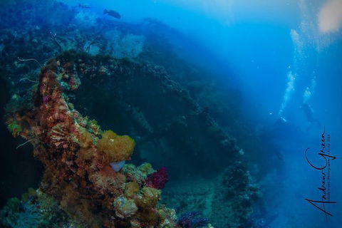 Scuba Dive The S.S. Yongala Wreck On The Great Barrier Reef. - Accommodation ACT 3