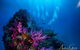 Scuba Dive The S.S. Yongala Wreck On The Great Barrier Reef. - thumb 2