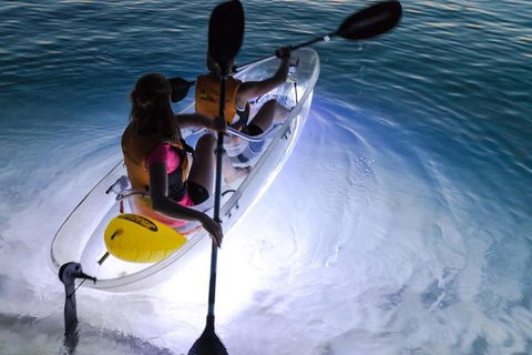 2-Day Moreton Island Tour From Brisbane Or Gold Coast With Optional Nighttime Kayaking - Accommodation ACT 1