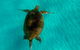 2-Day Moreton Island Tour From Brisbane Or Gold Coast With Optional Nighttime Kayaking - thumb 17