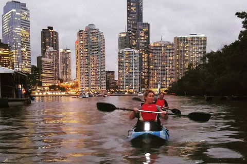 Brisbane River Guided Evening Tour By Kayak - Our Most Popular Tour - Accommodation ACT 0