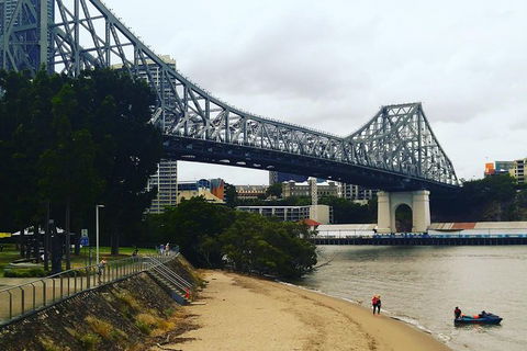 Brisbane River Guided Evening Tour By Kayak - Our Most Popular Tour - Accommodation ACT 6