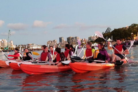 Brisbane River Guided Evening Tour By Kayak - Our Most Popular Tour - Accommodation ACT 4