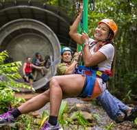 Cape Tribulation Jungle Surfing Canopy Tour - Accommodation ACT