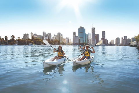 Brisbane Kayak Tour - Accommodation ACT 4