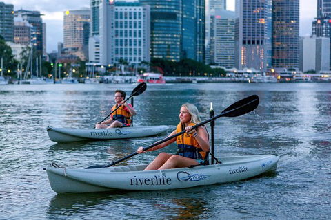 Brisbane Kayak Tour - Accommodation ACT 3