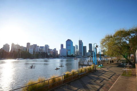 Brisbane Kayak Tour - Accommodation ACT 6