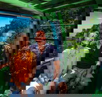Skyrail Rainforest Cableway Day Trip from Palm Cove - Accommodation ACT