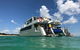Eco Marine Safari - Boom Netting & Snorkeling Moreton Island - Fortitude Valley - thumb 0