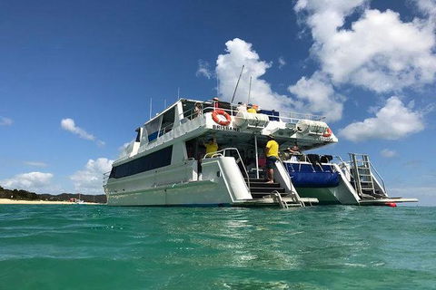 Eco Marine Safari - Boom Netting & Snorkeling Moreton Island - Fortitude Valley - Accommodation ACT 0