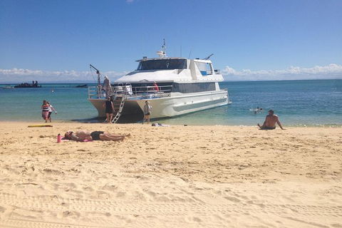 Eco Marine Safari - Boom Netting & Snorkeling Moreton Island - Fortitude Valley - Accommodation ACT 11