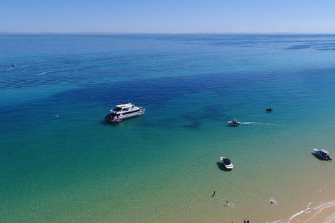 Eco Marine Safari - Boom Netting & Snorkeling Moreton Island - Fortitude Valley - Accommodation ACT 9
