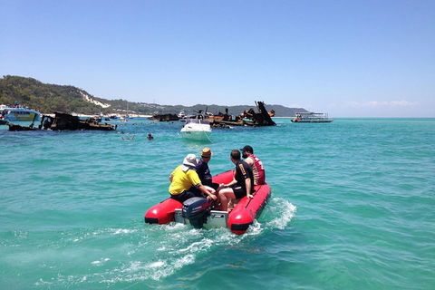 Eco Marine Safari - Boom Netting & Snorkeling Moreton Island - Fortitude Valley - Accommodation ACT 3
