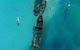Eco Marine Safari - Boom Netting & Snorkeling Moreton Island - Fortitude Valley - thumb 8