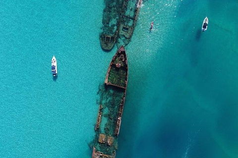 Eco Marine Safari - Boom Netting & Snorkeling Moreton Island - Fortitude Valley - Accommodation ACT 8