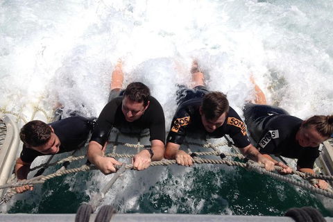 Eco Marine Safari - Boom Netting & Snorkeling Moreton Island - Fortitude Valley - Accommodation ACT 10