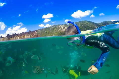 Dolphin Viewing Day Cruise To Tangalooma Island Resort On Moreton Island - Accommodation ACT 3