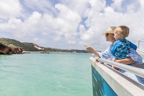 Dolphin Viewing Day Cruise To Tangalooma Island Resort On Moreton Island - Accommodation ACT 7