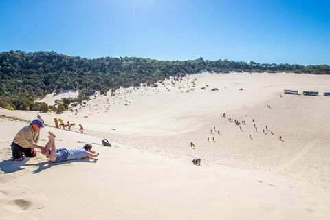 Dolphin Viewing Day Cruise To Tangalooma Island Resort On Moreton Island - Accommodation ACT 6