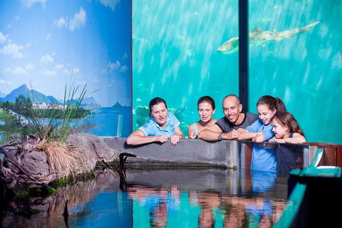 Reef HQ Great Barrier Reef Aquarium General Entry Ticket - Accommodation ACT 0