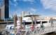 Brisbane Highlights And Lone Pine Cruise From Gold Coast - thumb 13