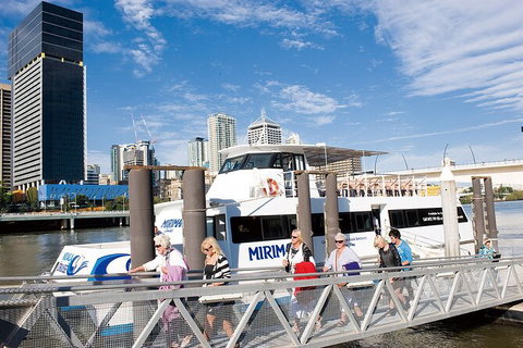 Brisbane Highlights And Lone Pine Cruise From Gold Coast - Accommodation ACT 13