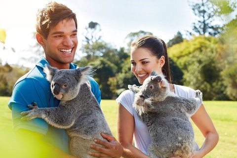 Brisbane Highlights And Lone Pine Cruise From Gold Coast - Accommodation ACT 2