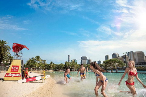 Brisbane Highlights And Lone Pine Cruise From Gold Coast - Accommodation ACT 9