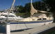 Townsville Lunchtime Sailing Cruise Boat Tour - thumb 0