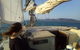 Townsville Lunchtime Sailing Cruise Boat Tour - thumb 6