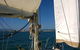 Townsville Lunchtime Sailing Cruise Boat Tour - thumb 4