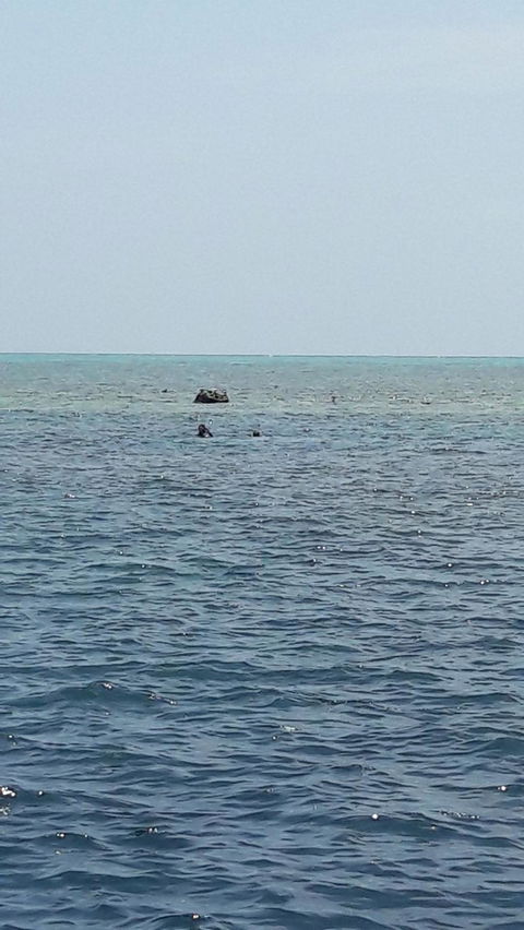 Great Barrier Reef Cruise From Townsville Or Magnetic Island - Accommodation ACT 2