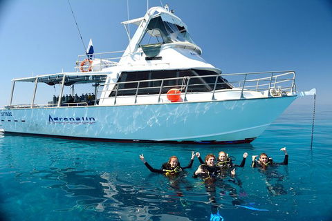 Great Barrier Reef Cruise From Townsville Or Magnetic Island - Accommodation ACT 0