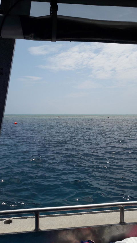 Great Barrier Reef Cruise From Townsville Or Magnetic Island - Accommodation ACT 3